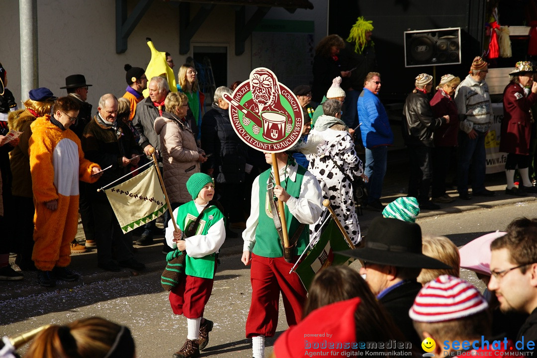 Jubilaeumsumzug - Kuh-Muh: Liggersdorf - Bodensee, 16.02.2020