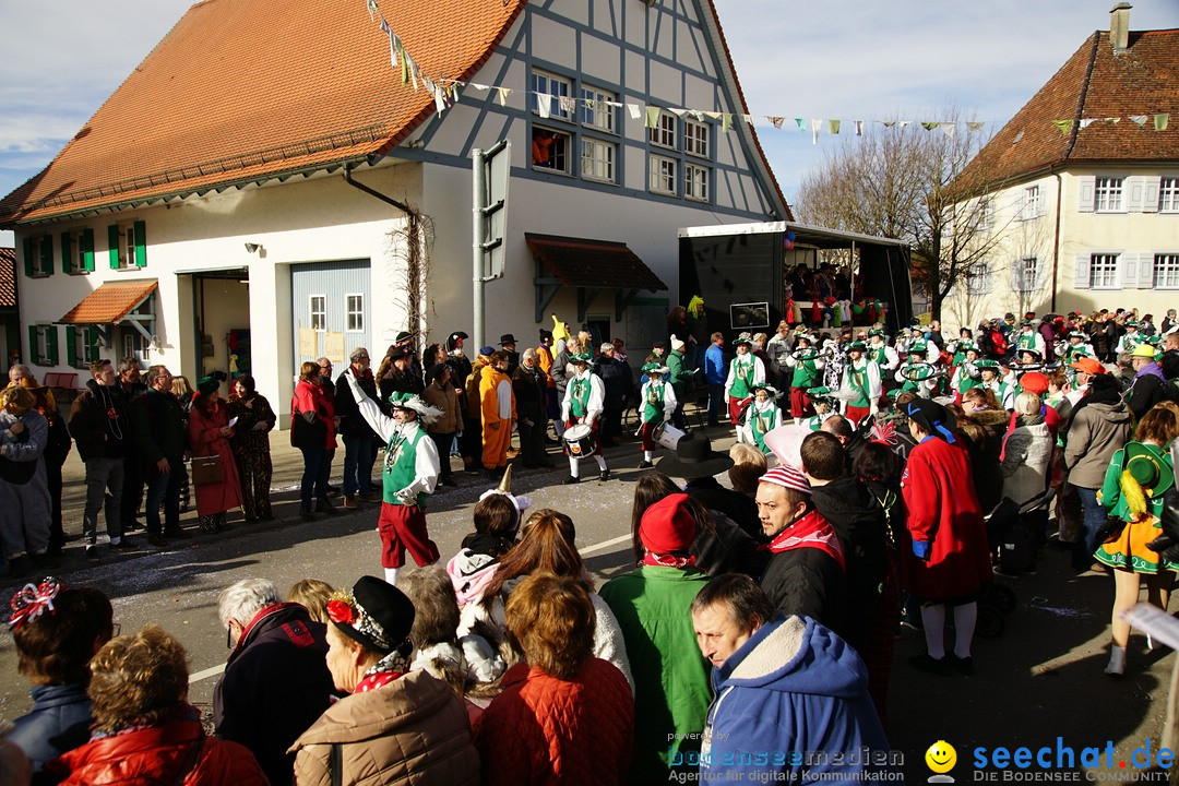 Jubilaeumsumzug - Kuh-Muh: Liggersdorf - Bodensee, 16.02.2020