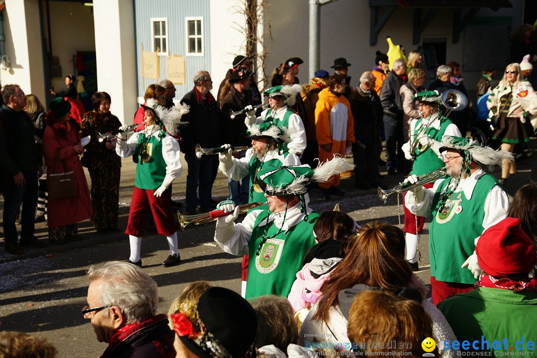 Jubilaeumsumzug - Kuh-Muh: Liggersdorf - Bodensee, 16.02.2020