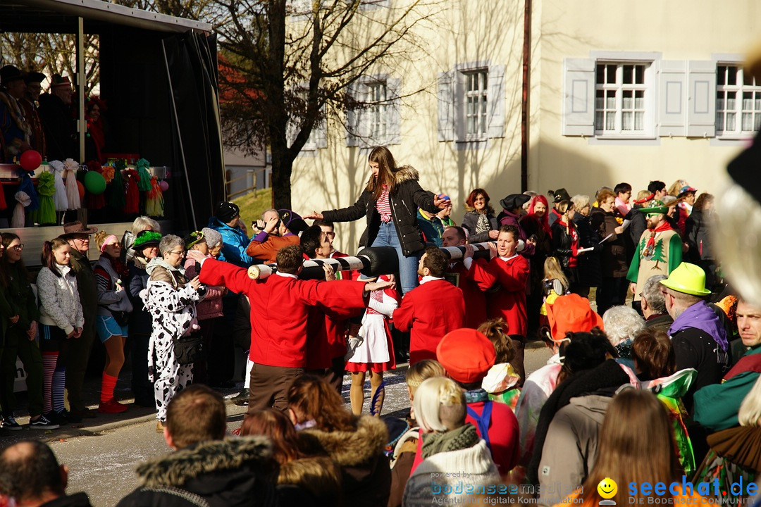 Jubilaeumsumzug - Kuh-Muh: Liggersdorf - Bodensee, 16.02.2020