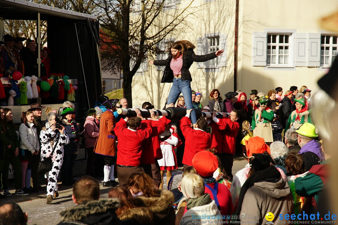 Jubilaeumsumzug - Kuh-Muh: Liggersdorf - Bodensee, 16.02.2020