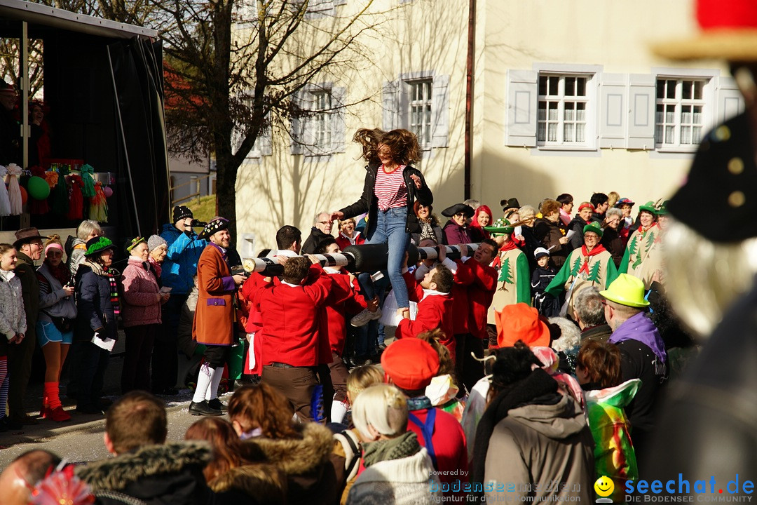 Jubilaeumsumzug - Kuh-Muh: Liggersdorf - Bodensee, 16.02.2020