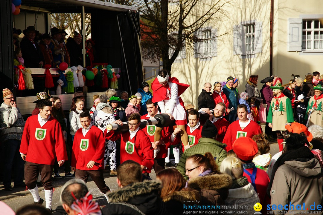 Jubilaeumsumzug - Kuh-Muh: Liggersdorf - Bodensee, 16.02.2020