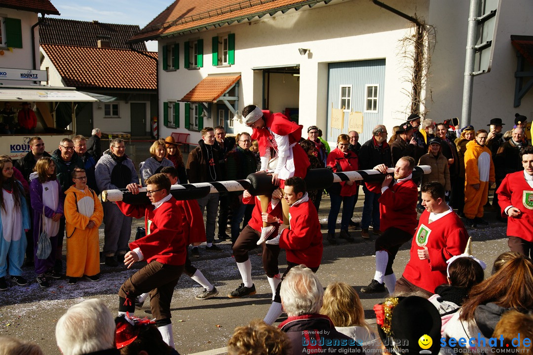 Jubilaeumsumzug - Kuh-Muh: Liggersdorf - Bodensee, 16.02.2020