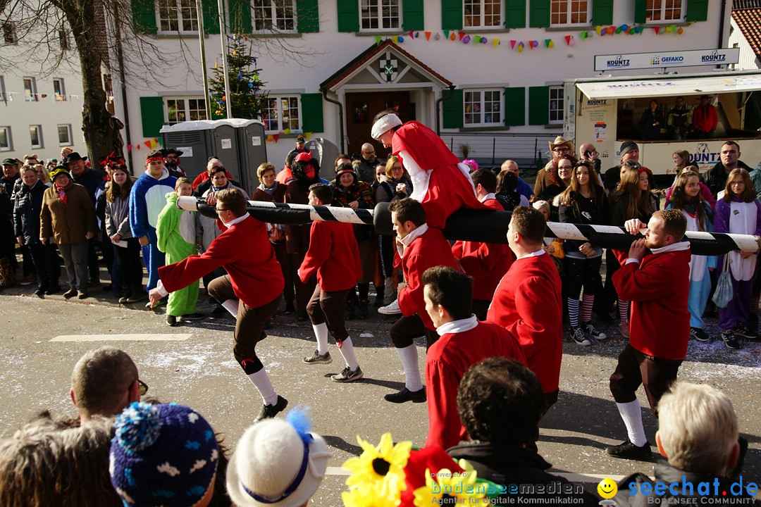 Jubilaeumsumzug - Kuh-Muh: Liggersdorf - Bodensee, 16.02.2020