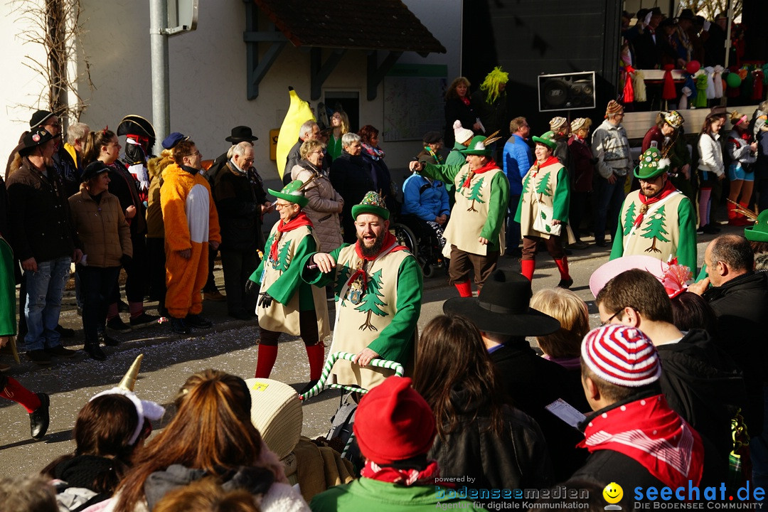 Jubilaeumsumzug - Kuh-Muh: Liggersdorf - Bodensee, 16.02.2020