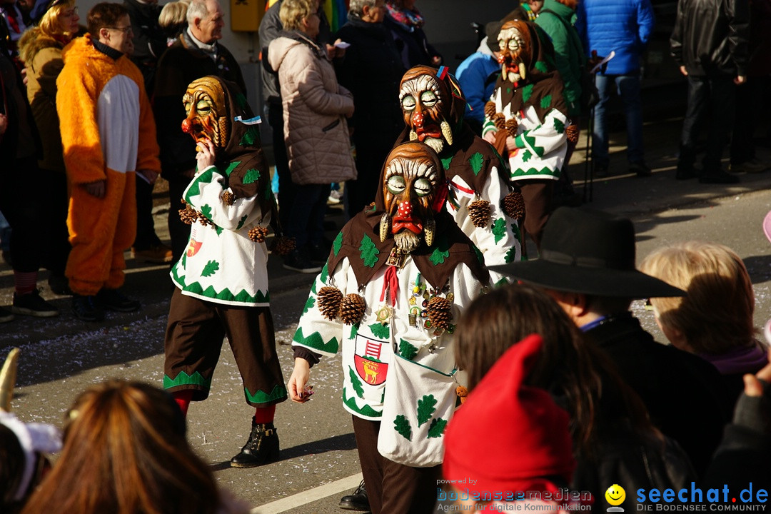 Jubilaeumsumzug - Kuh-Muh: Liggersdorf - Bodensee, 16.02.2020