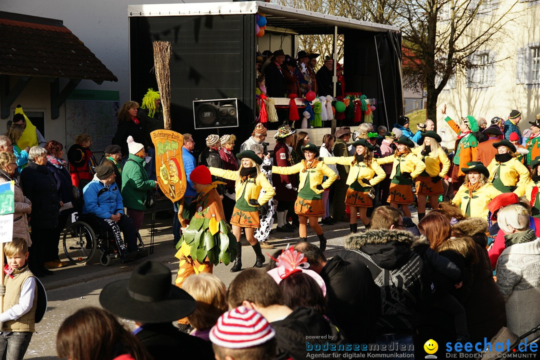 Jubilaeumsumzug - Kuh-Muh: Liggersdorf - Bodensee, 16.02.2020