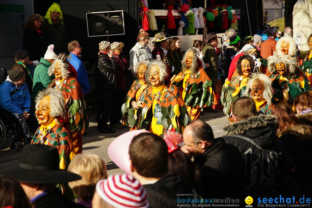 Jubilaeumsumzug - Kuh-Muh: Liggersdorf - Bodensee, 16.02.2020