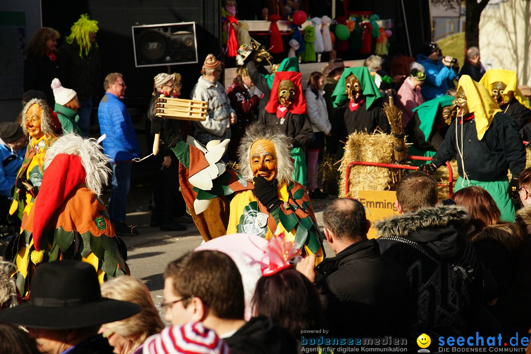 Jubilaeumsumzug - Kuh-Muh: Liggersdorf - Bodensee, 16.02.2020