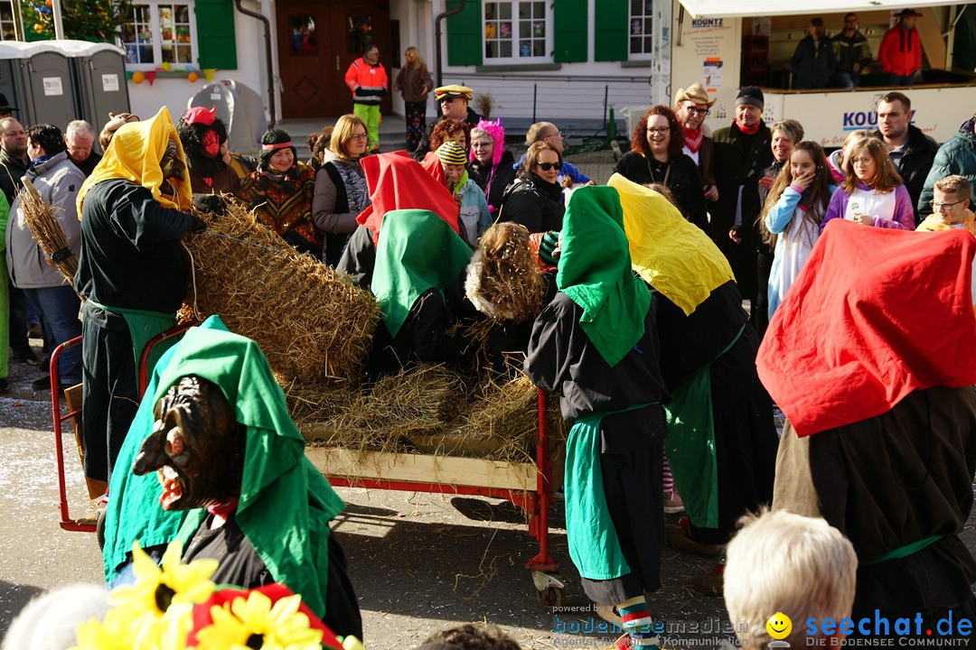 Jubilaeumsumzug - Kuh-Muh: Liggersdorf - Bodensee, 16.02.2020