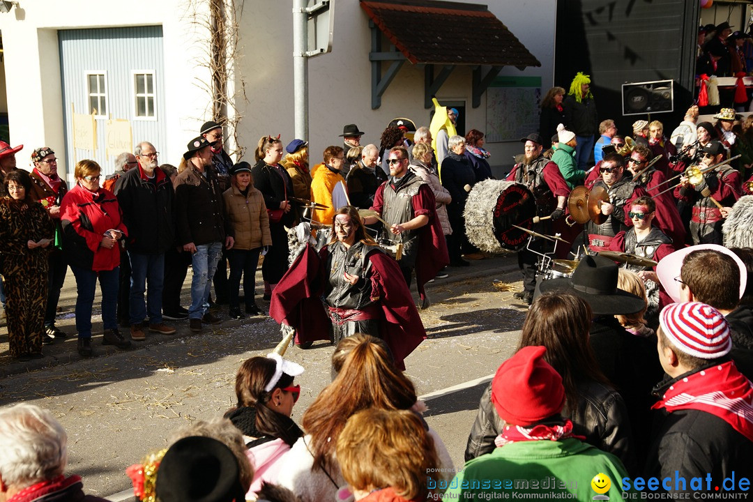 Jubilaeumsumzug - Kuh-Muh: Liggersdorf - Bodensee, 16.02.2020