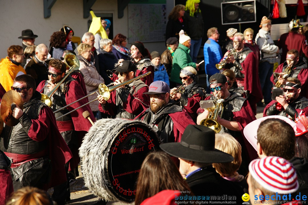 Jubilaeumsumzug - Kuh-Muh: Liggersdorf - Bodensee, 16.02.2020