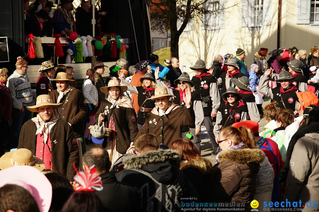 Jubilaeumsumzug - Kuh-Muh: Liggersdorf - Bodensee, 16.02.2020