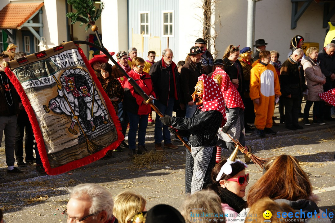 Jubilaeumsumzug - Kuh-Muh: Liggersdorf - Bodensee, 16.02.2020