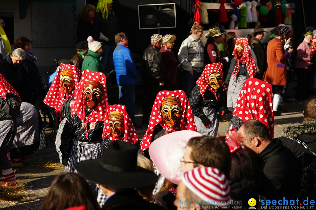 Jubilaeumsumzug - Kuh-Muh: Liggersdorf - Bodensee, 16.02.2020