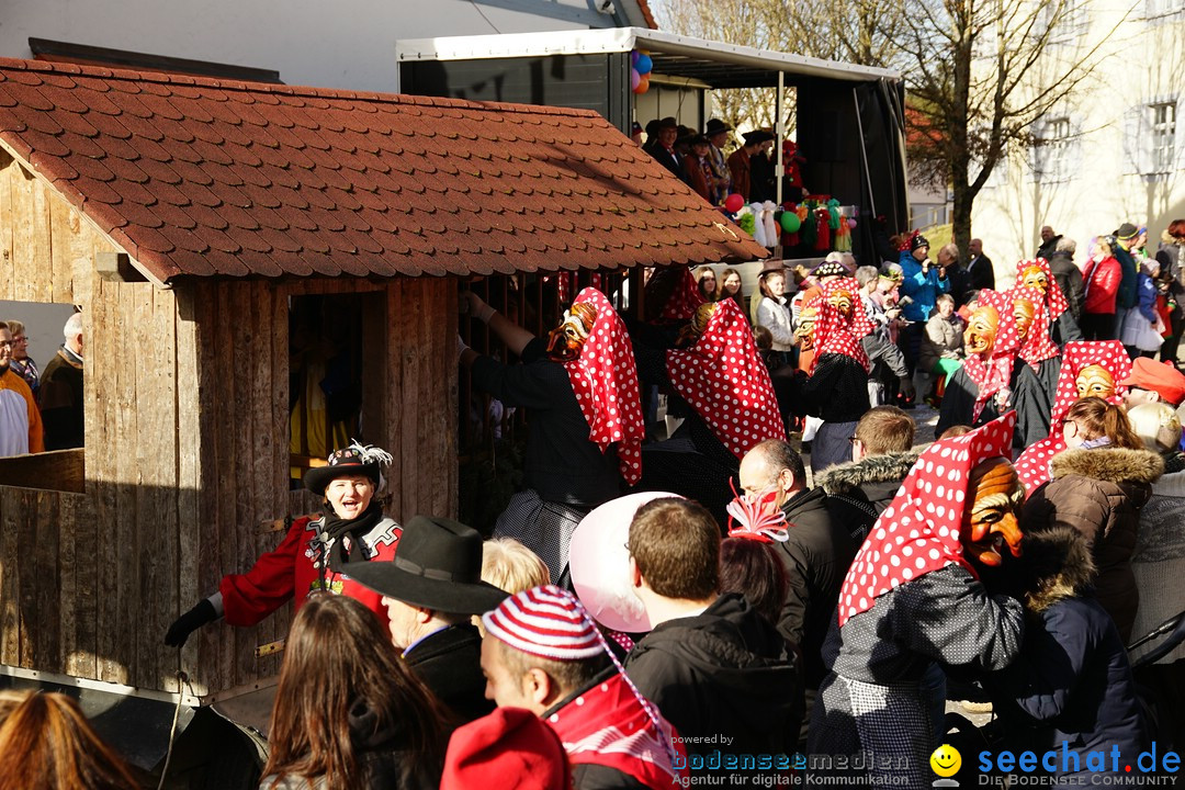 Jubilaeumsumzug - Kuh-Muh: Liggersdorf - Bodensee, 16.02.2020