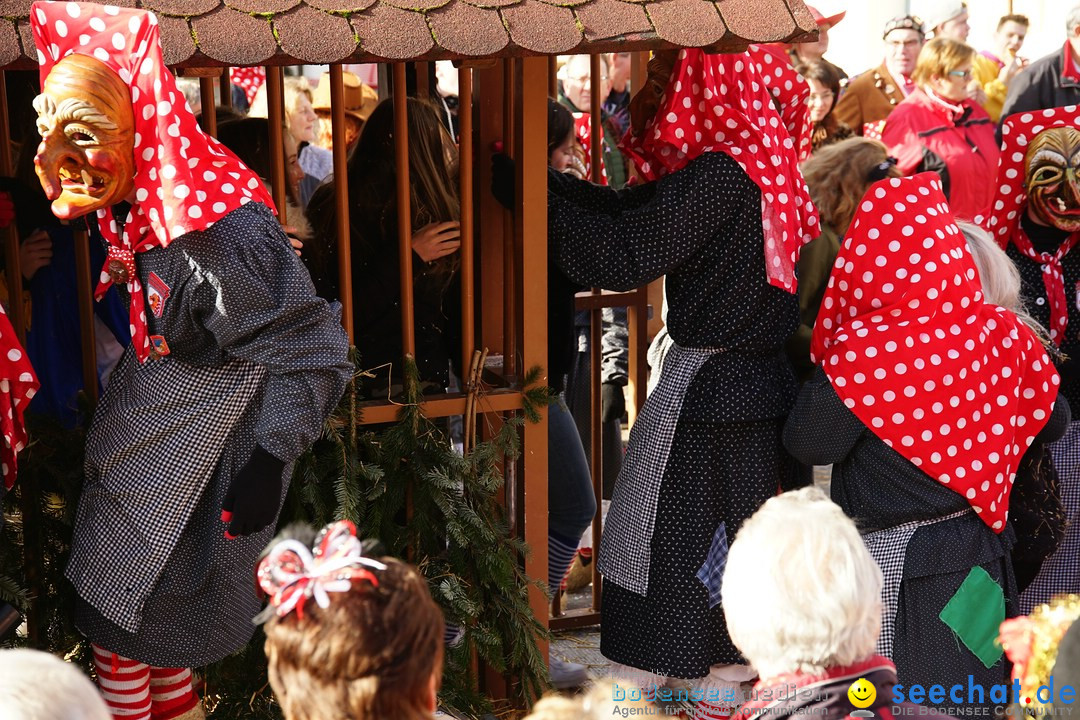 Jubilaeumsumzug - Kuh-Muh: Liggersdorf - Bodensee, 16.02.2020