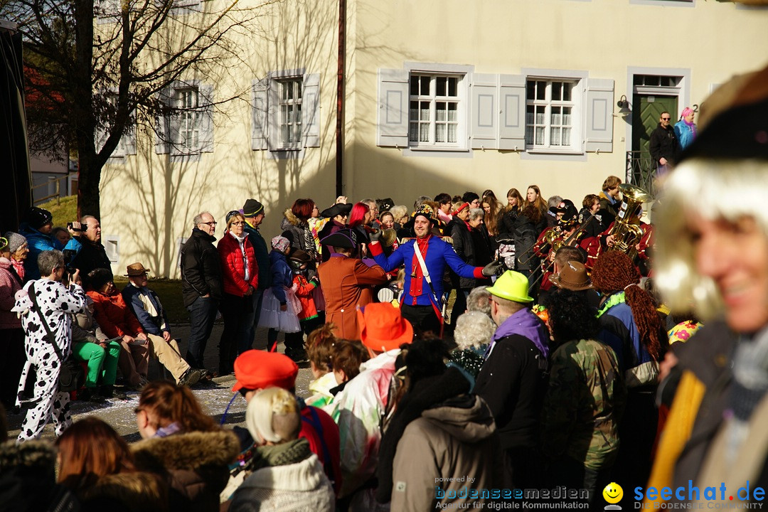 Jubilaeumsumzug - Kuh-Muh: Liggersdorf - Bodensee, 16.02.2020