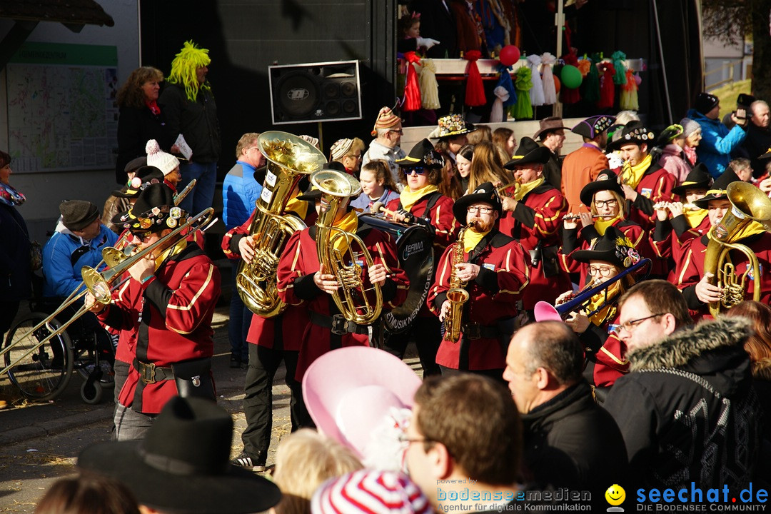 Jubilaeumsumzug - Kuh-Muh: Liggersdorf - Bodensee, 16.02.2020