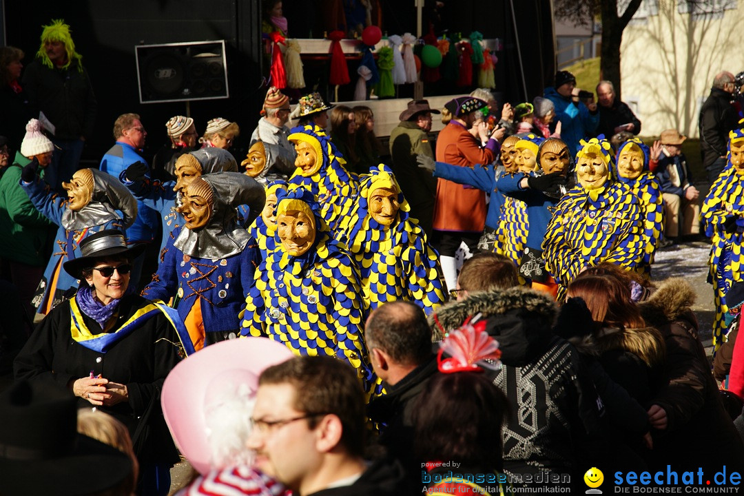 Jubilaeumsumzug - Kuh-Muh: Liggersdorf - Bodensee, 16.02.2020