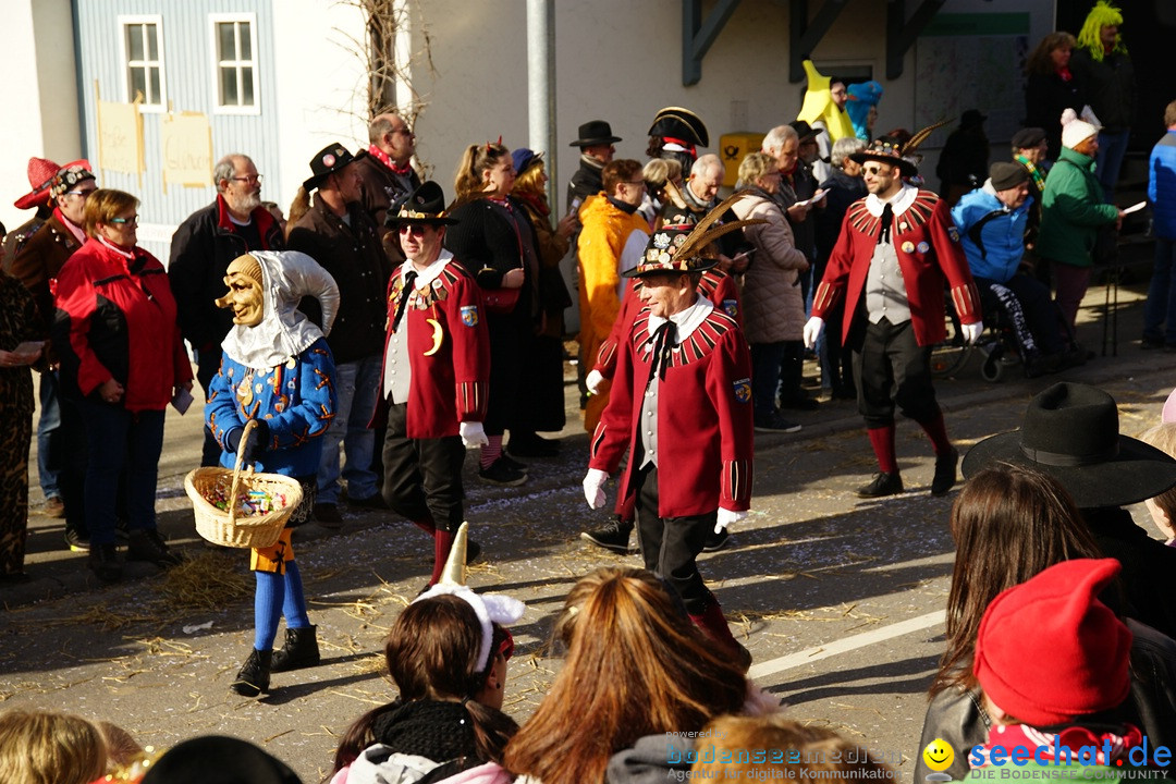 Jubilaeumsumzug - Kuh-Muh: Liggersdorf - Bodensee, 16.02.2020