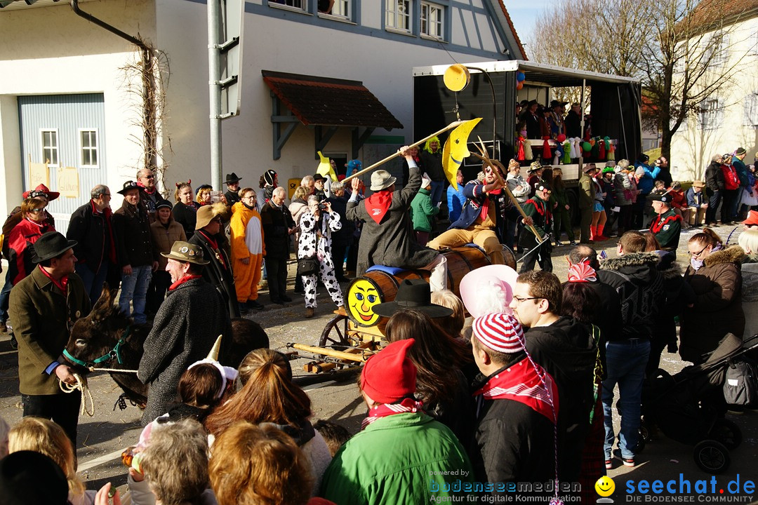 Jubilaeumsumzug - Kuh-Muh: Liggersdorf - Bodensee, 16.02.2020