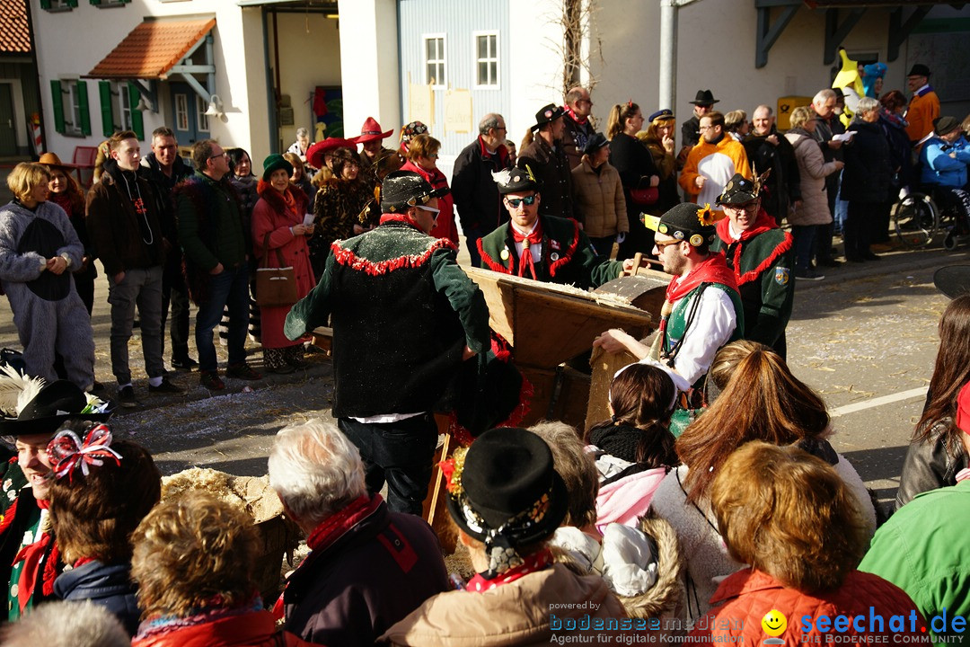 Jubilaeumsumzug - Kuh-Muh: Liggersdorf - Bodensee, 16.02.2020