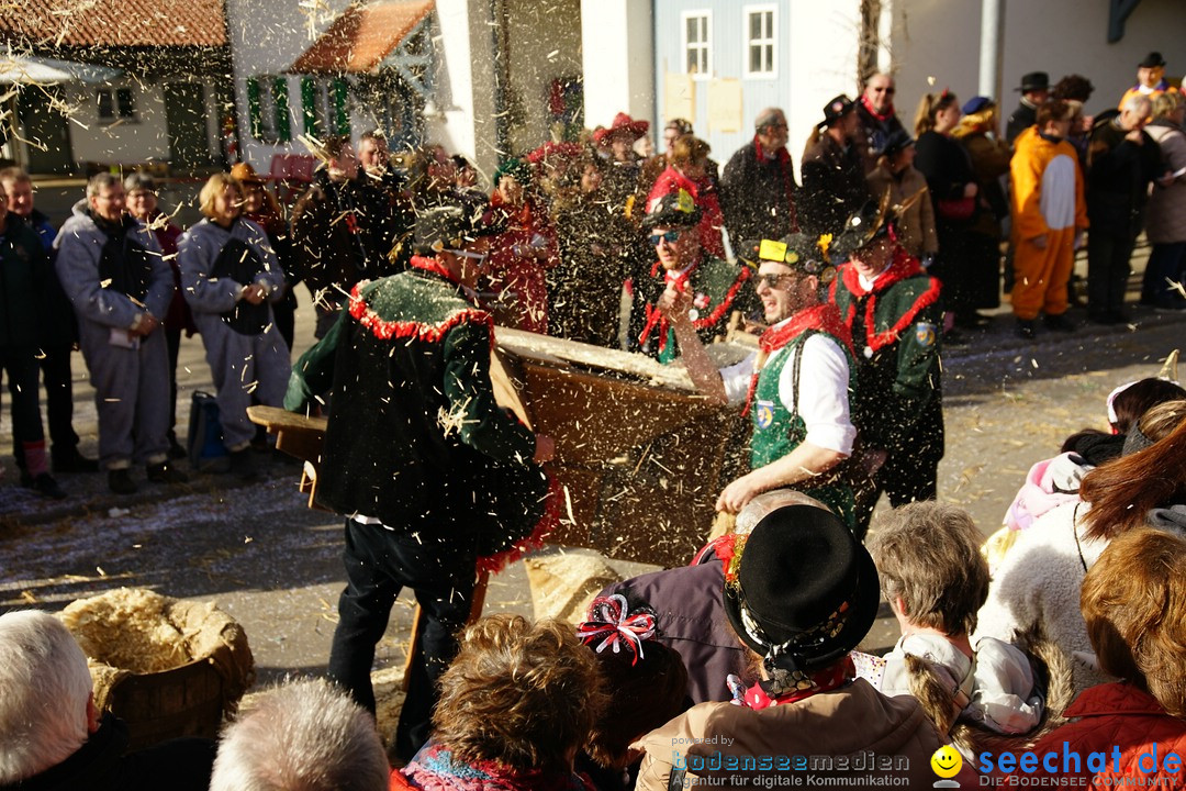 Jubilaeumsumzug - Kuh-Muh: Liggersdorf - Bodensee, 16.02.2020