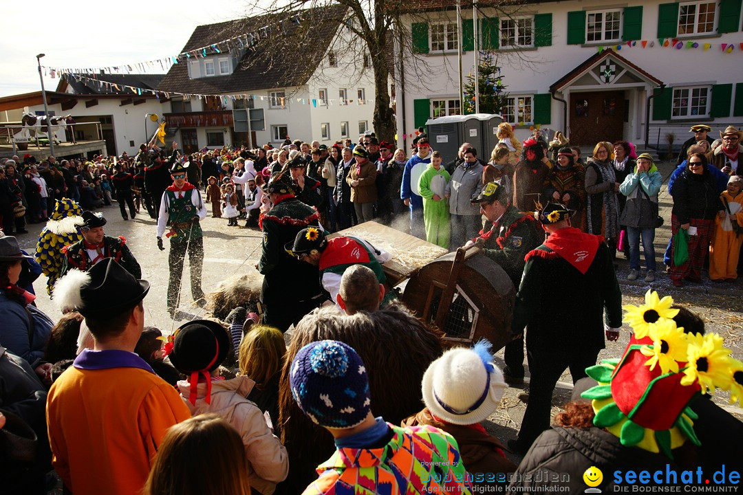 Jubilaeumsumzug - Kuh-Muh: Liggersdorf - Bodensee, 16.02.2020