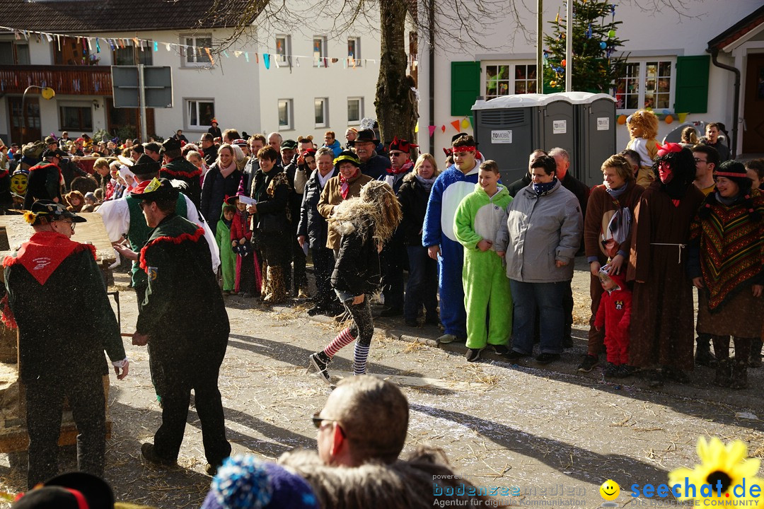 Jubilaeumsumzug - Kuh-Muh: Liggersdorf - Bodensee, 16.02.2020