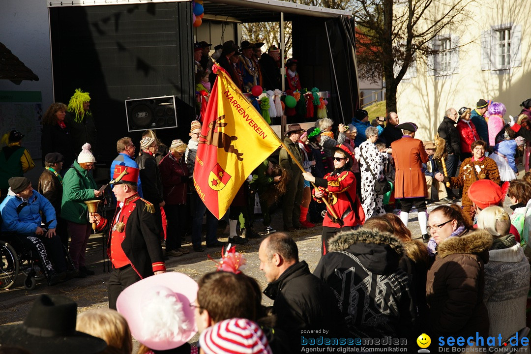 Jubilaeumsumzug - Kuh-Muh: Liggersdorf - Bodensee, 16.02.2020