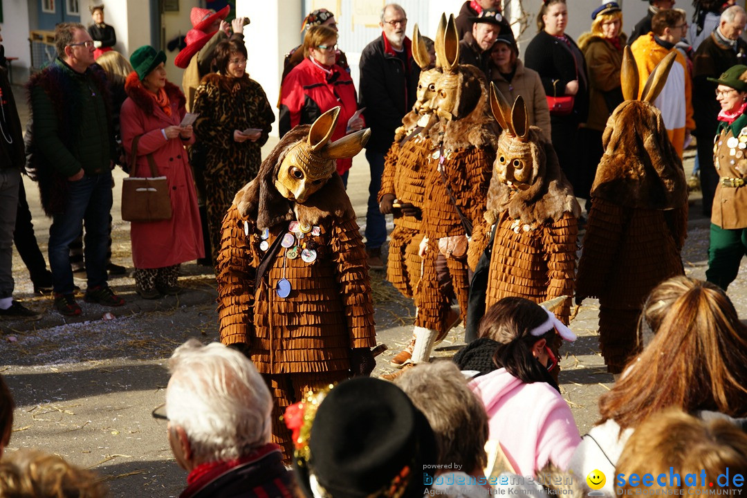 Jubilaeumsumzug - Kuh-Muh: Liggersdorf - Bodensee, 16.02.2020