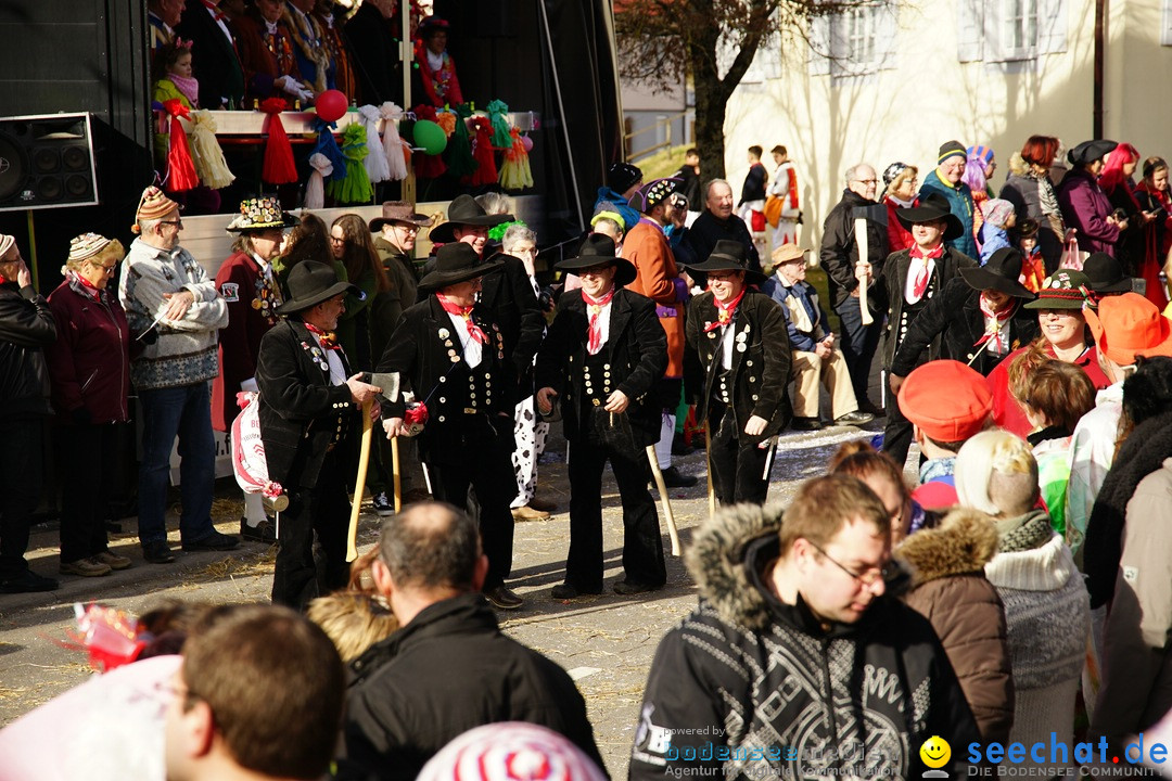 Jubilaeumsumzug - Kuh-Muh: Liggersdorf - Bodensee, 16.02.2020