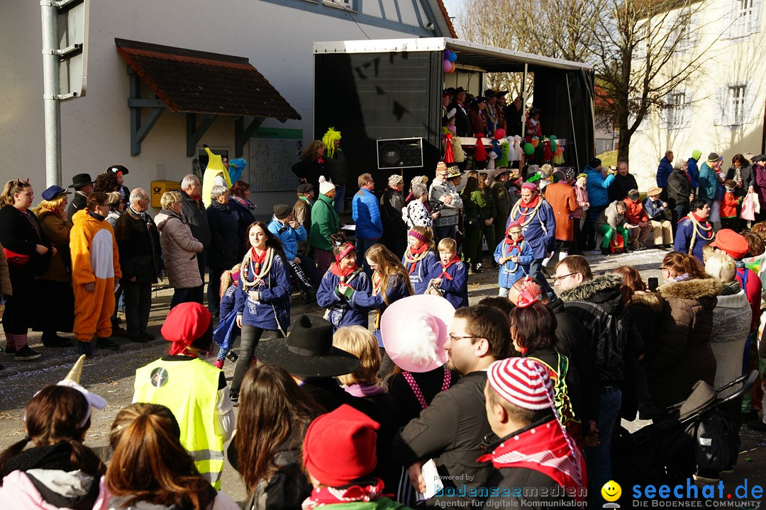 Jubilaeumsumzug - Kuh-Muh: Liggersdorf - Bodensee, 16.02.2020