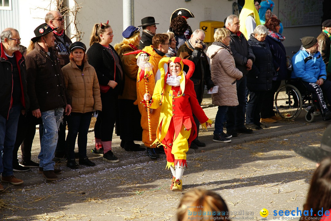 Jubilaeumsumzug - Kuh-Muh: Liggersdorf - Bodensee, 16.02.2020