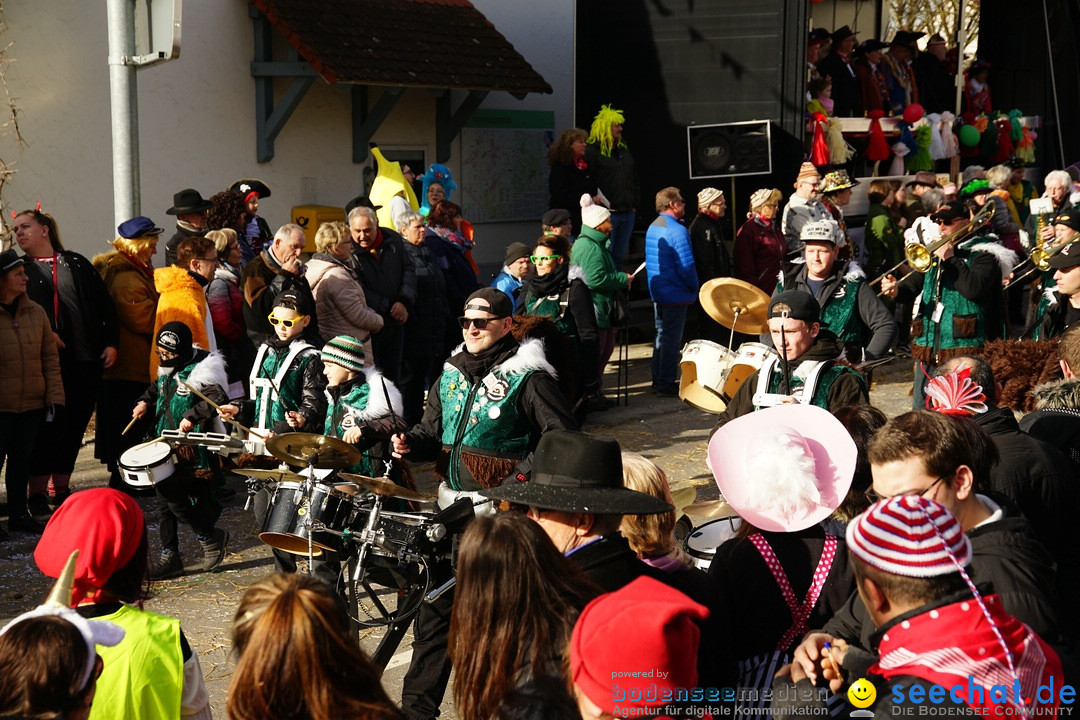 Jubilaeumsumzug - Kuh-Muh: Liggersdorf - Bodensee, 16.02.2020