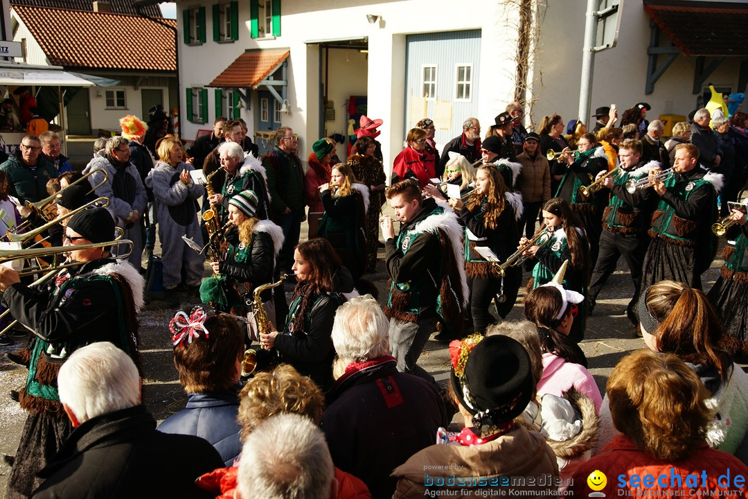 Jubilaeumsumzug - Kuh-Muh: Liggersdorf - Bodensee, 16.02.2020