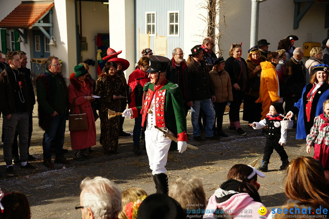 Jubilaeumsumzug - Kuh-Muh: Liggersdorf - Bodensee, 16.02.2020