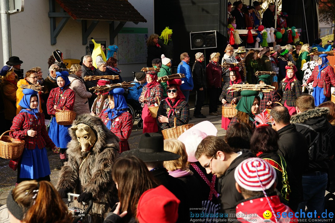 Jubilaeumsumzug - Kuh-Muh: Liggersdorf - Bodensee, 16.02.2020