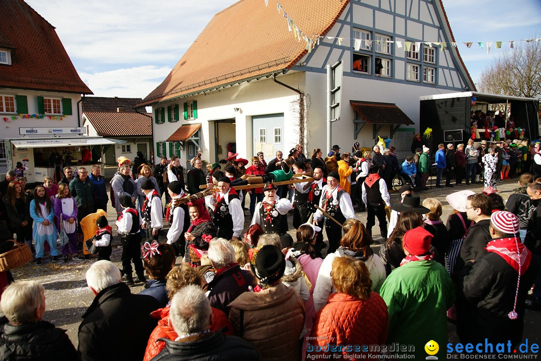 Jubilaeumsumzug - Kuh-Muh: Liggersdorf - Bodensee, 16.02.2020