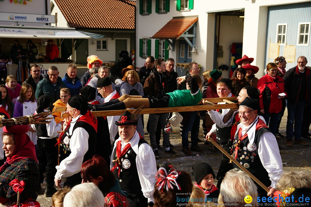 Jubilaeumsumzug - Kuh-Muh: Liggersdorf - Bodensee, 16.02.2020