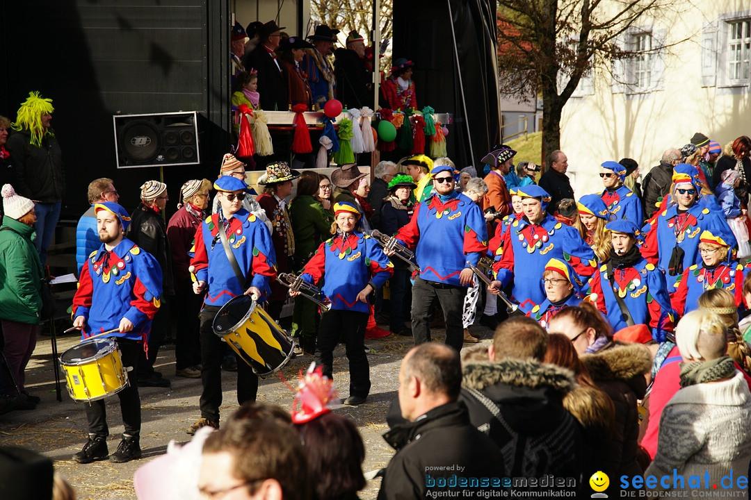 Jubilaeumsumzug - Kuh-Muh: Liggersdorf - Bodensee, 16.02.2020