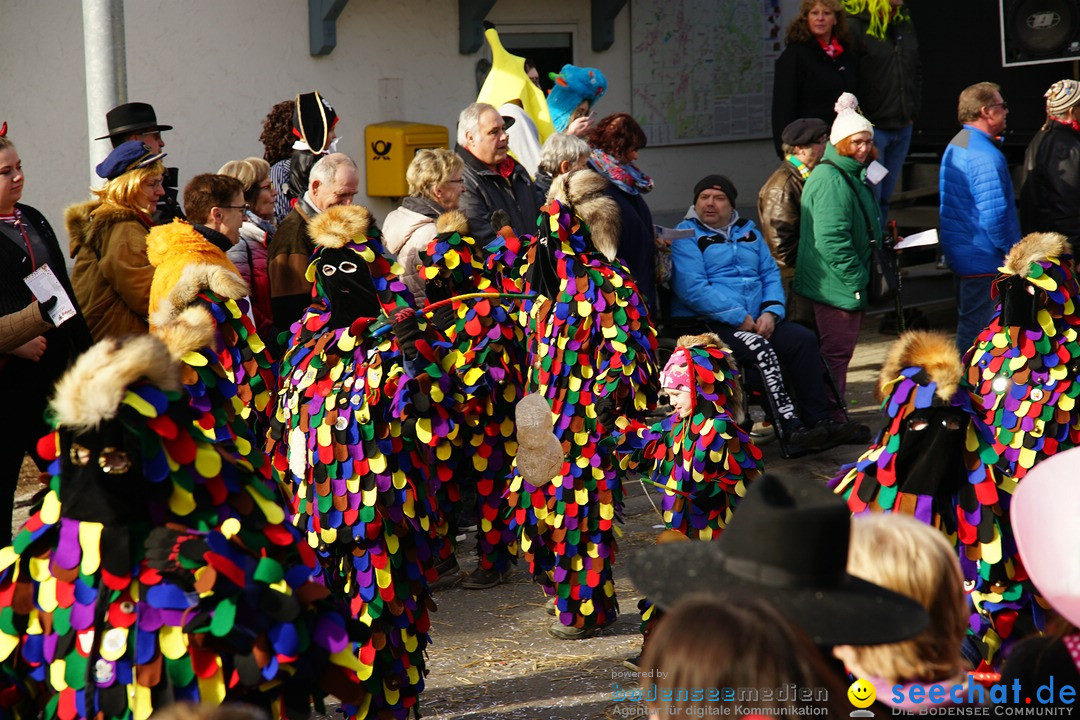 Jubilaeumsumzug - Kuh-Muh: Liggersdorf - Bodensee, 16.02.2020