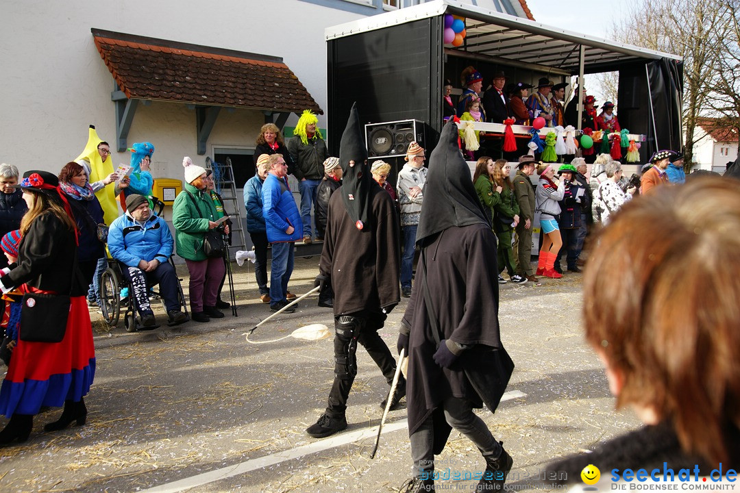 Jubilaeumsumzug - Kuh-Muh: Liggersdorf - Bodensee, 16.02.2020