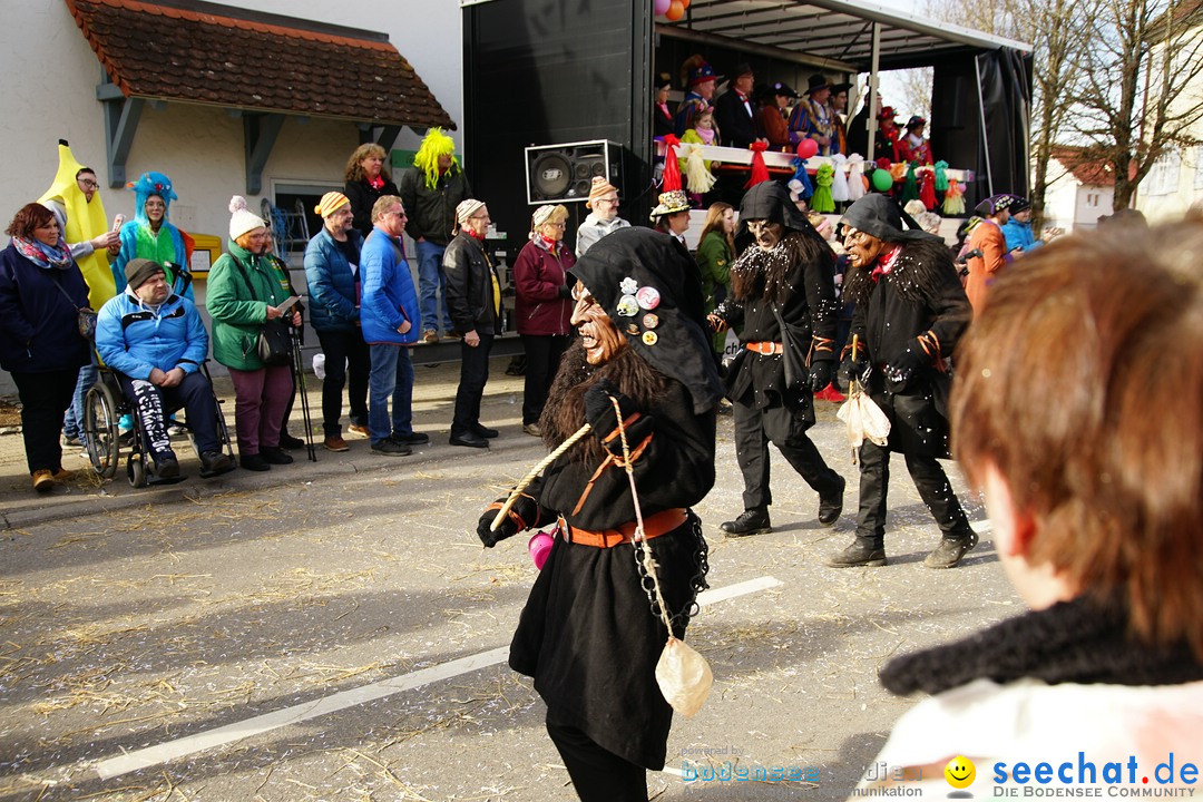 Jubilaeumsumzug - Kuh-Muh: Liggersdorf - Bodensee, 16.02.2020