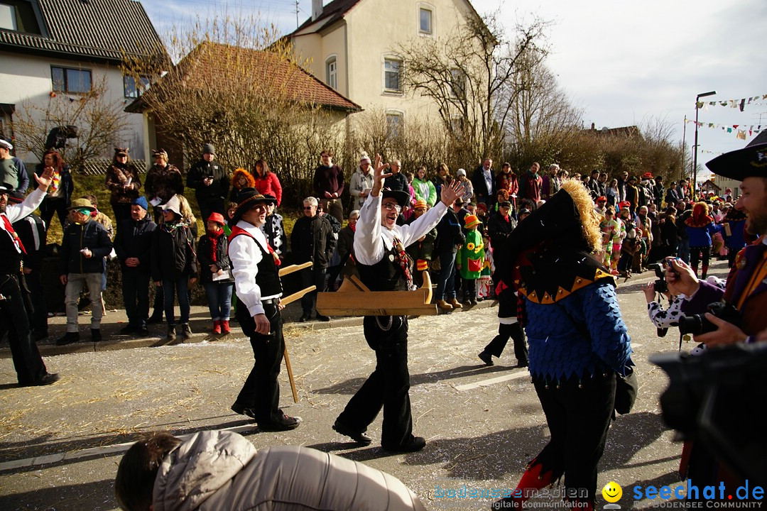 Jubilaeumsumzug - Kuh-Muh: Liggersdorf - Bodensee, 16.02.2020