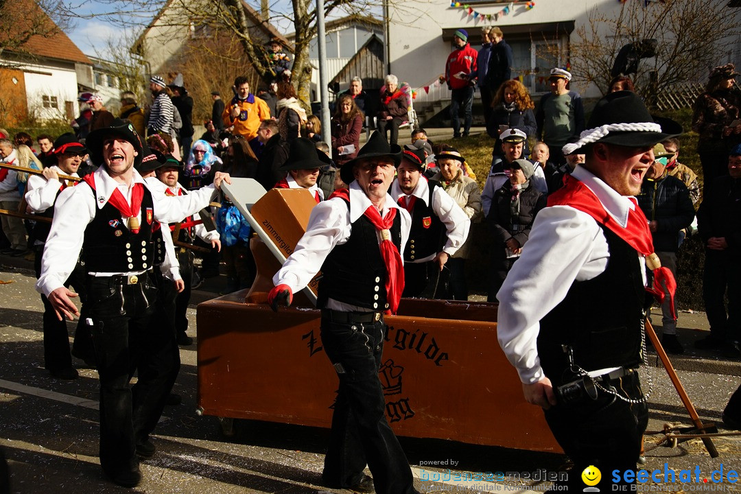 Jubilaeumsumzug - Kuh-Muh: Liggersdorf - Bodensee, 16.02.2020