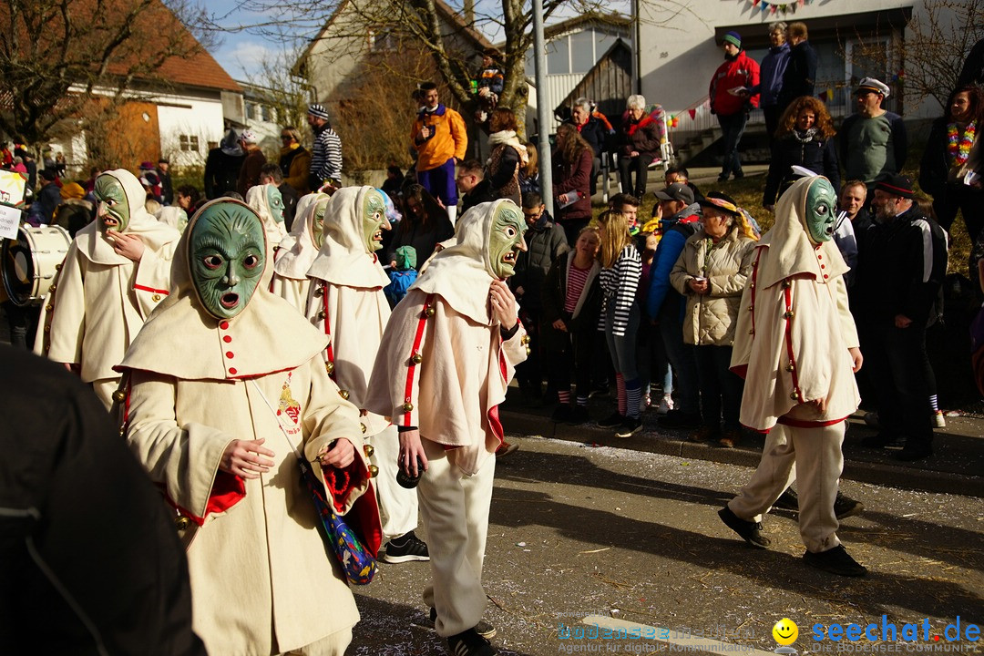 Jubilaeumsumzug - Kuh-Muh: Liggersdorf - Bodensee, 16.02.2020