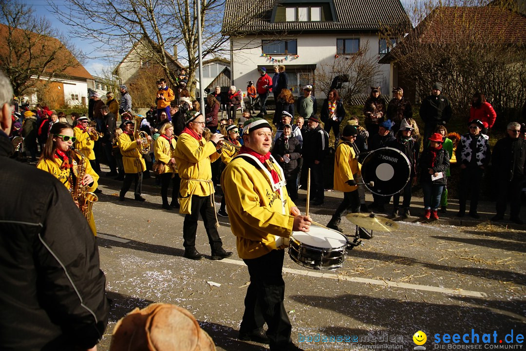 Jubilaeumsumzug - Kuh-Muh: Liggersdorf - Bodensee, 16.02.2020